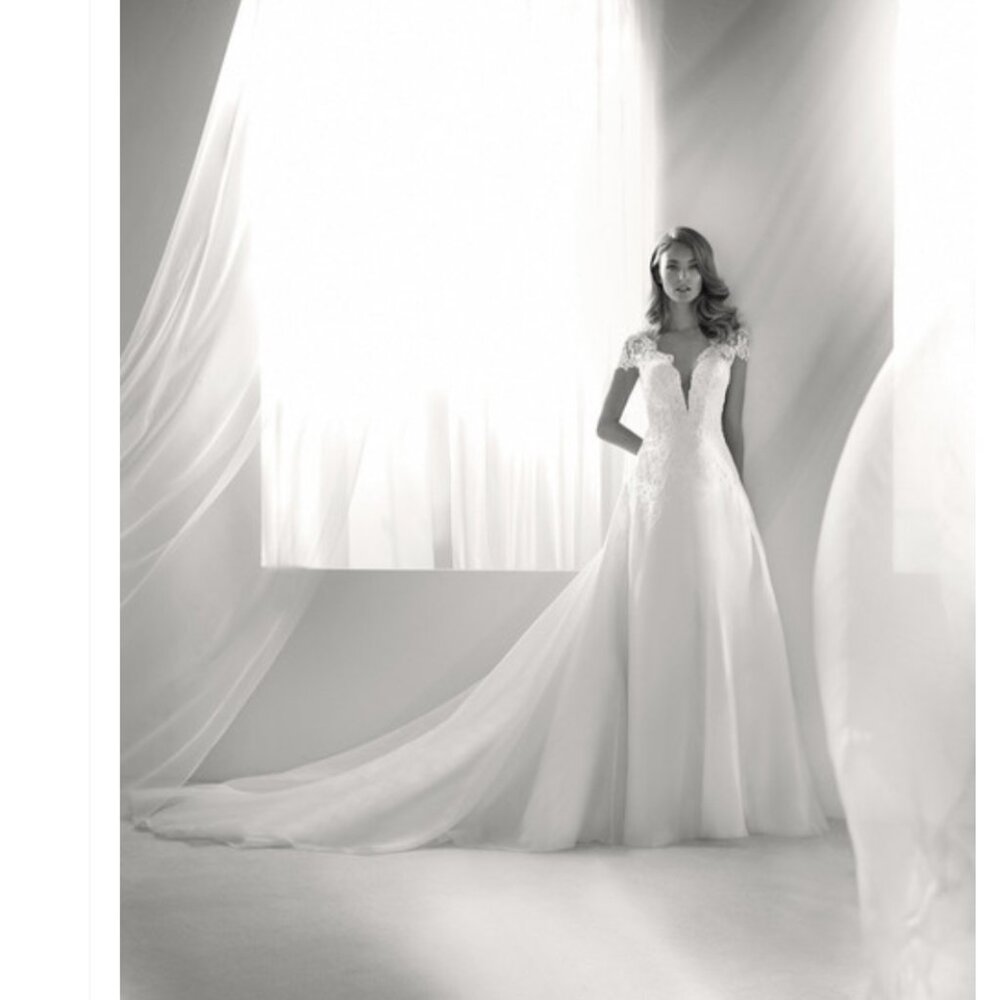 Pronovias Rivera A-Line Wedding Dress